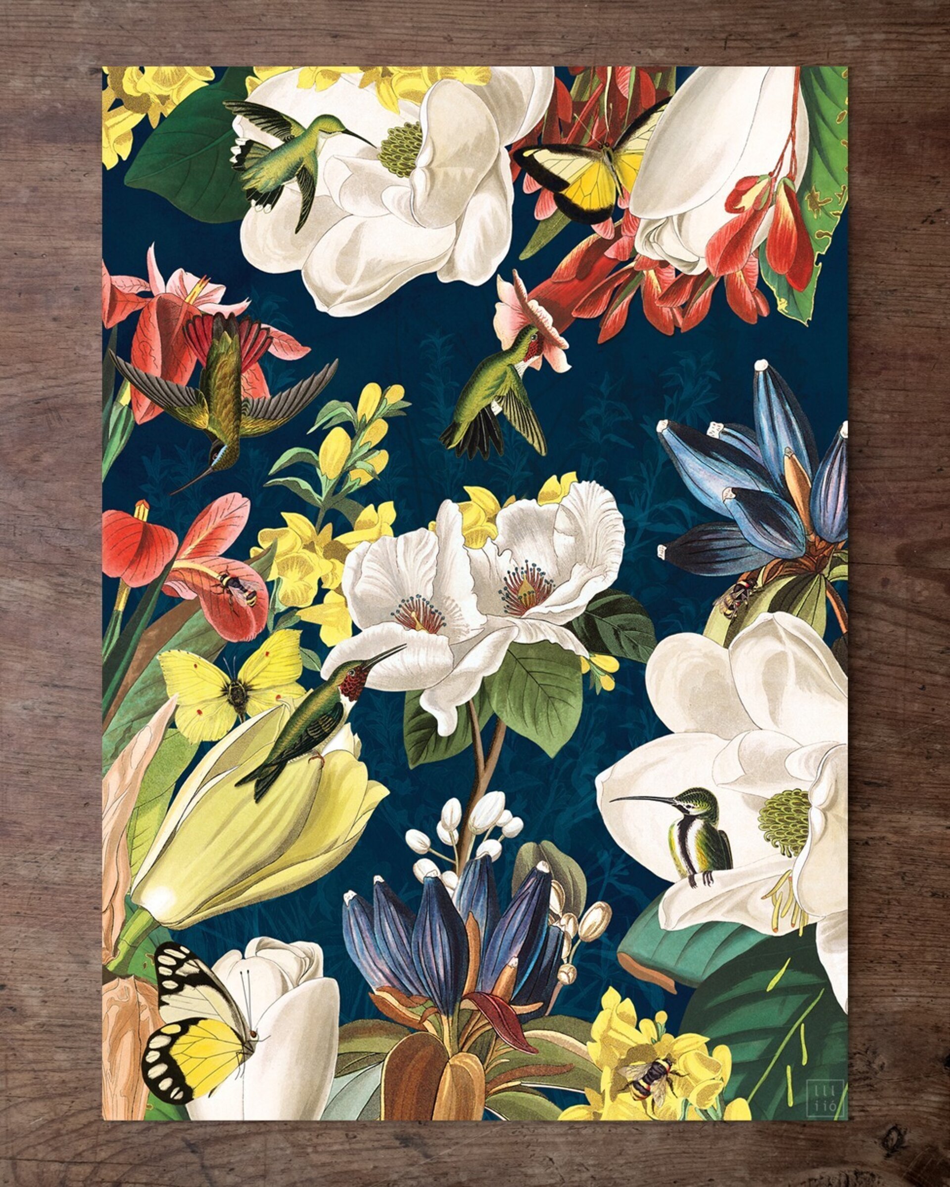 Lámina "The Hummingbirds" 21x30 cm - 2