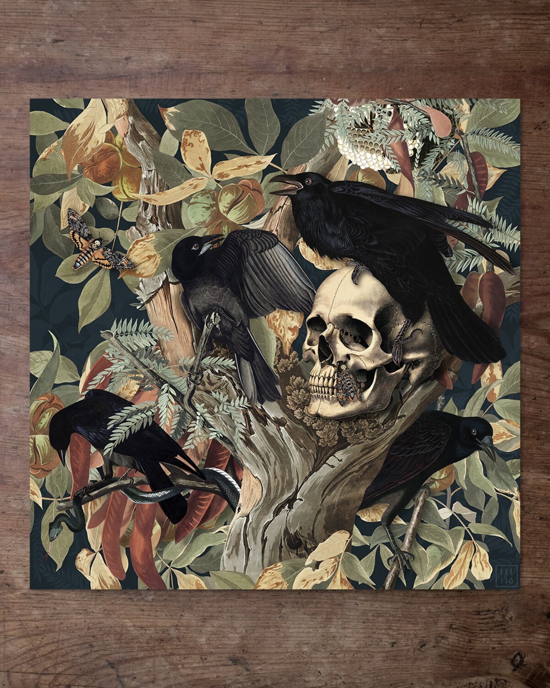 Lámina "The Corvids" 30x30 cm - 2