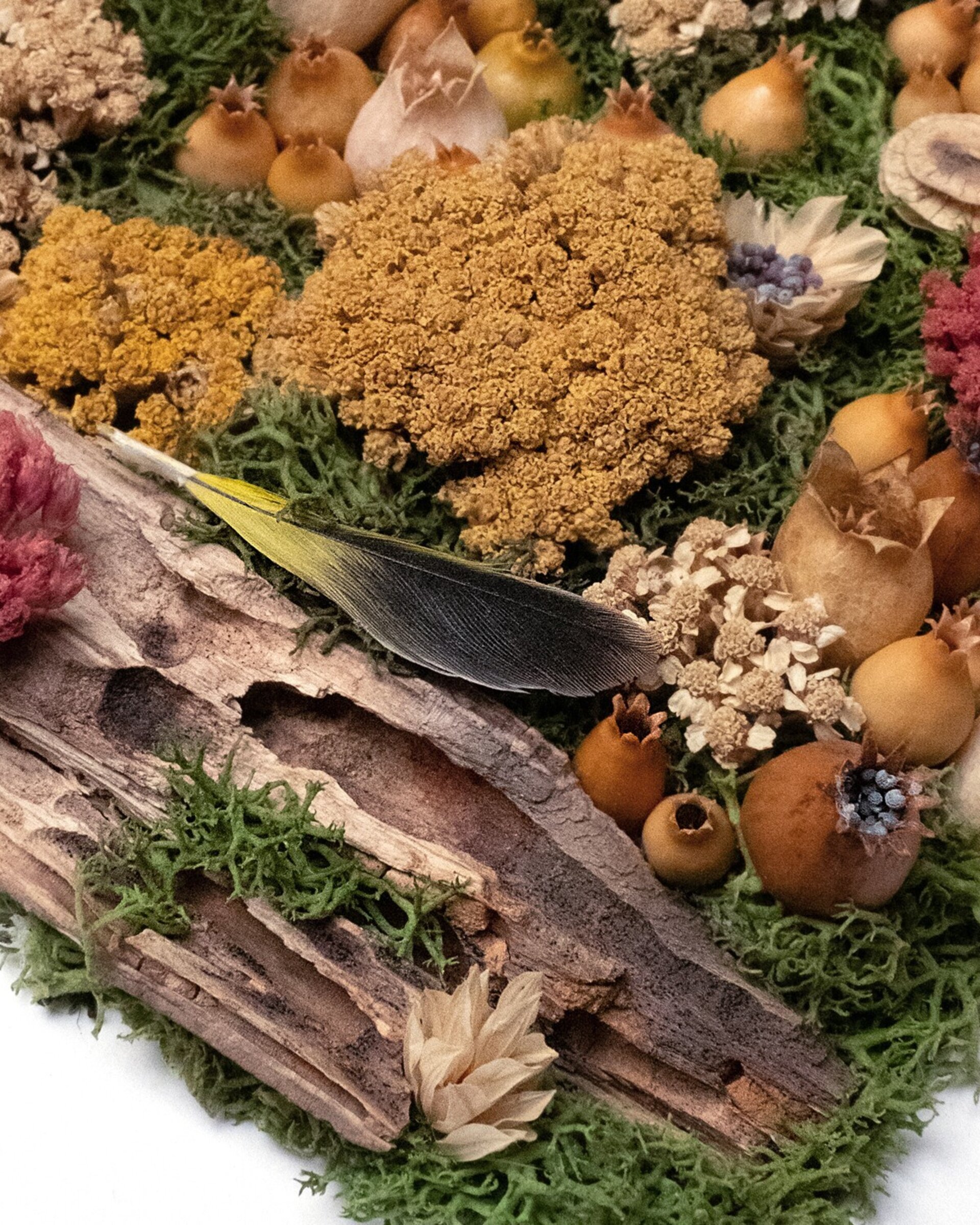 Cuadro botánico artesanal “Bosque” (25x25 cm) - 3