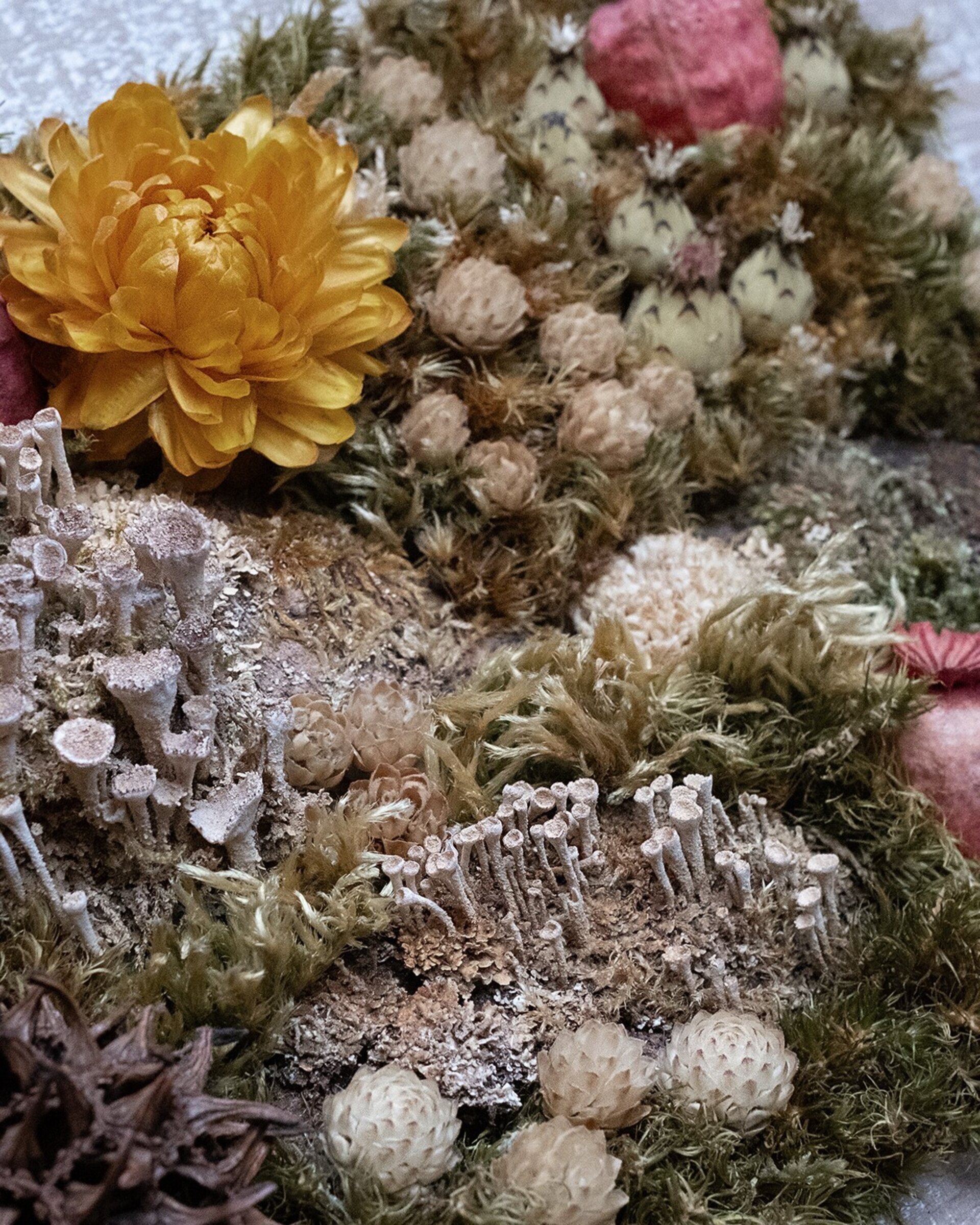 Cuadro floral artesanal “Fimbriata” (26x22 cm) - 2