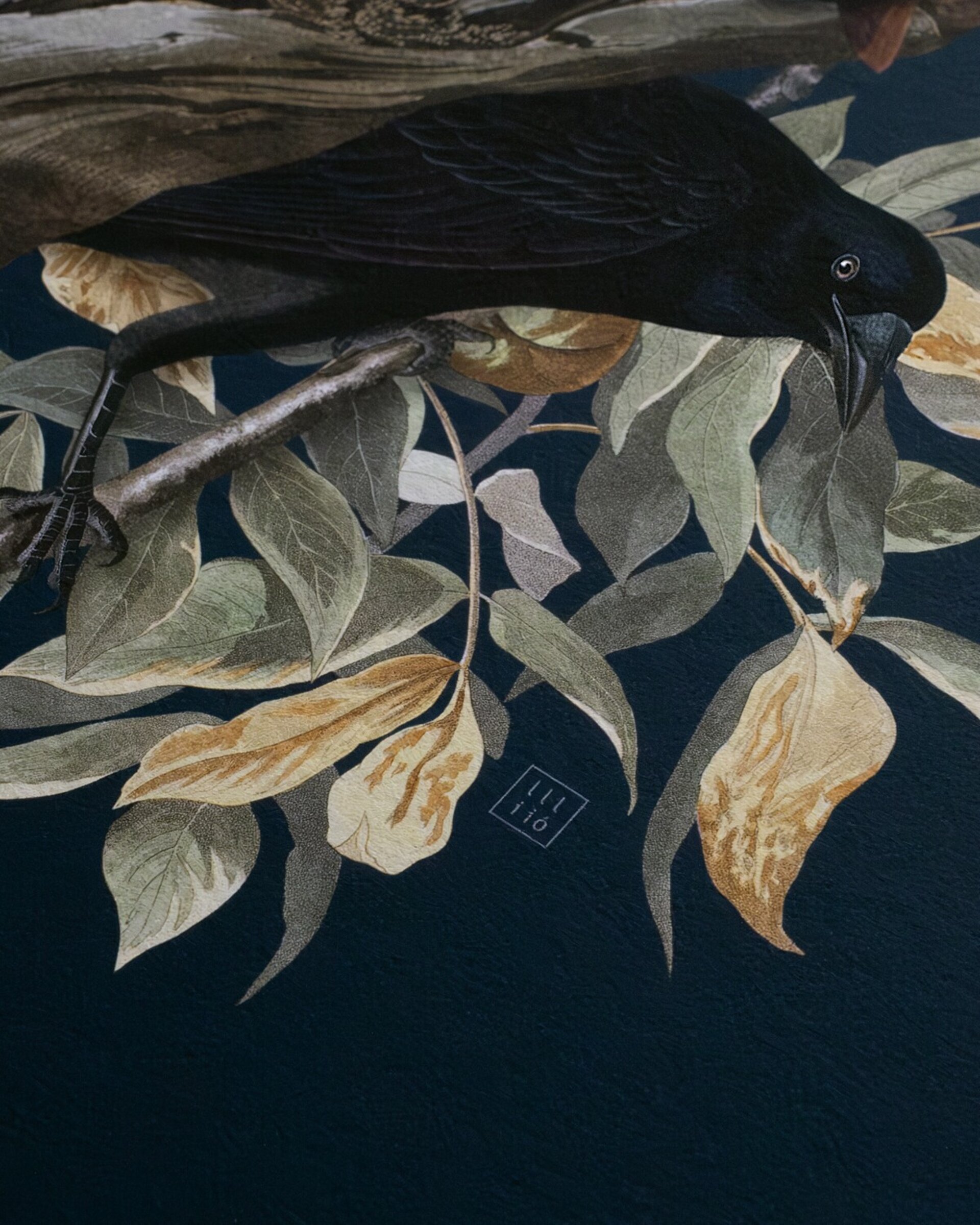 Lámina "The Corvids" 50x50cm - 5