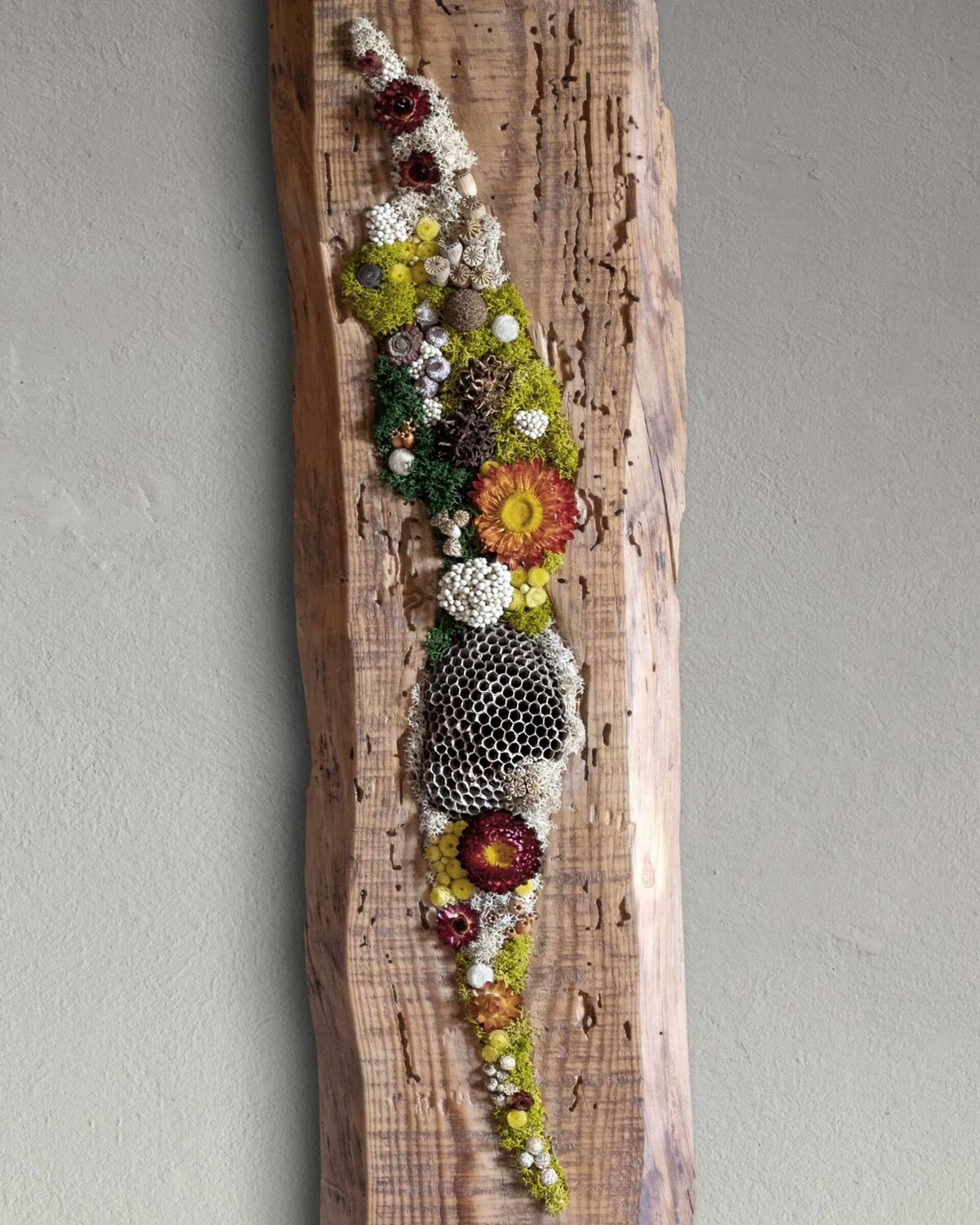 Arte botánico en madera “Tablón” (17x70 cm) - 2