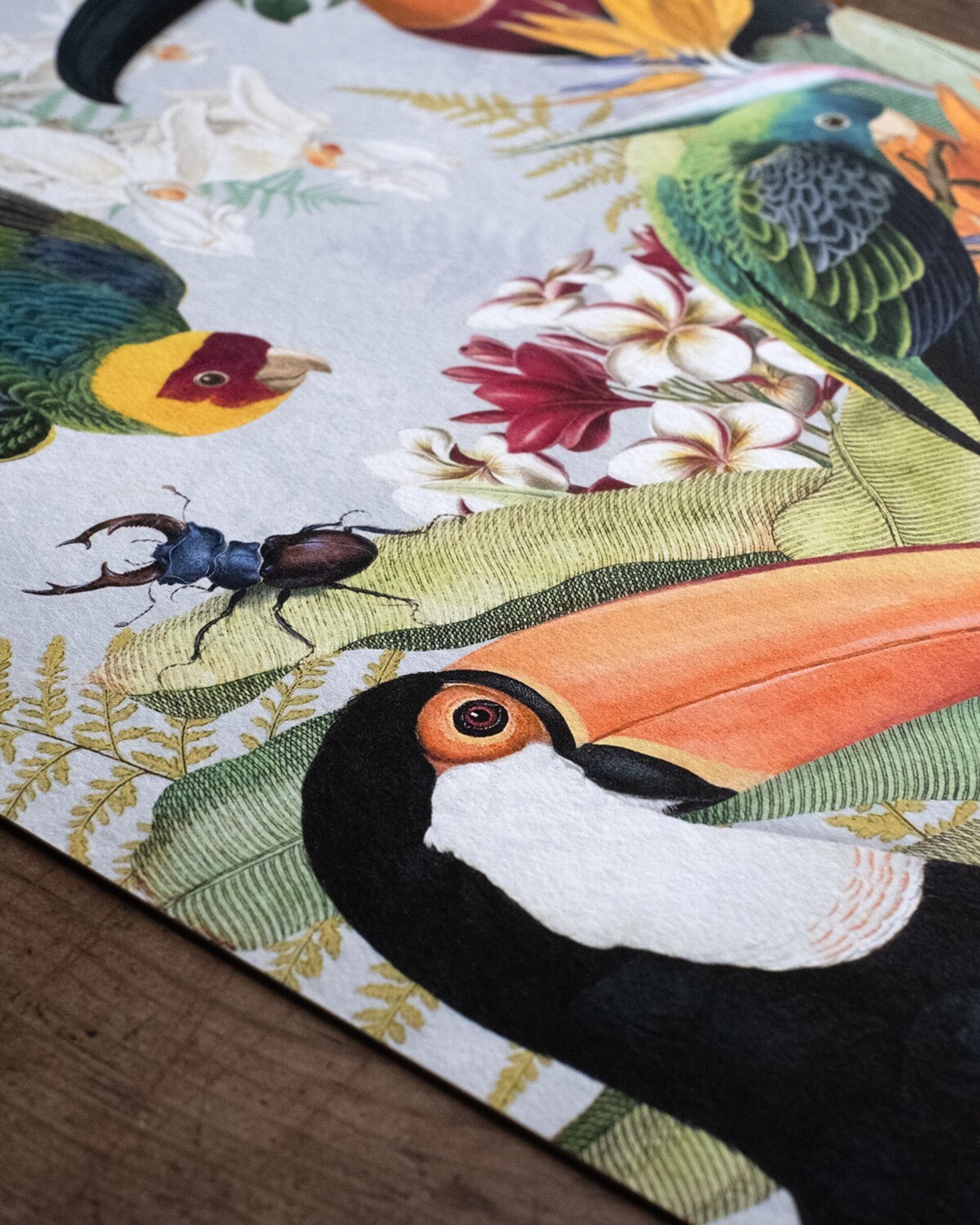 Lámina "The Parrots and the Toucans" 21x30 cm - 3