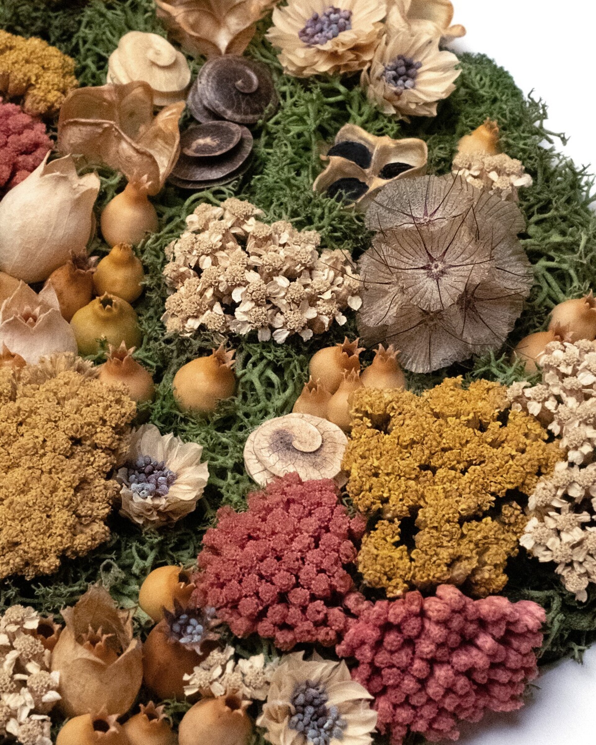 Cuadro botánico artesanal “Bosque” (25x25 cm) - 2