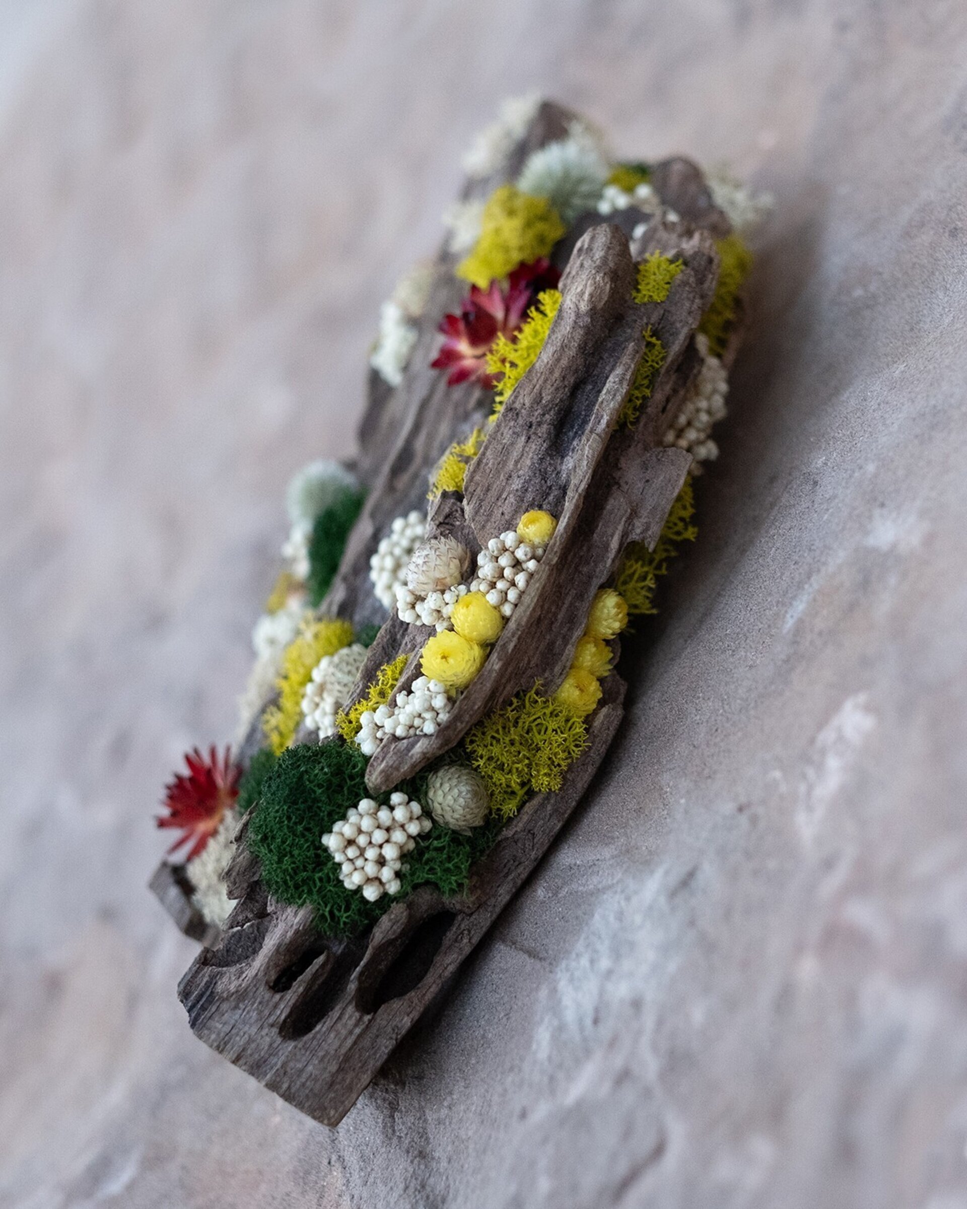 “Corteza erosionada” (22x13 cm) - 2