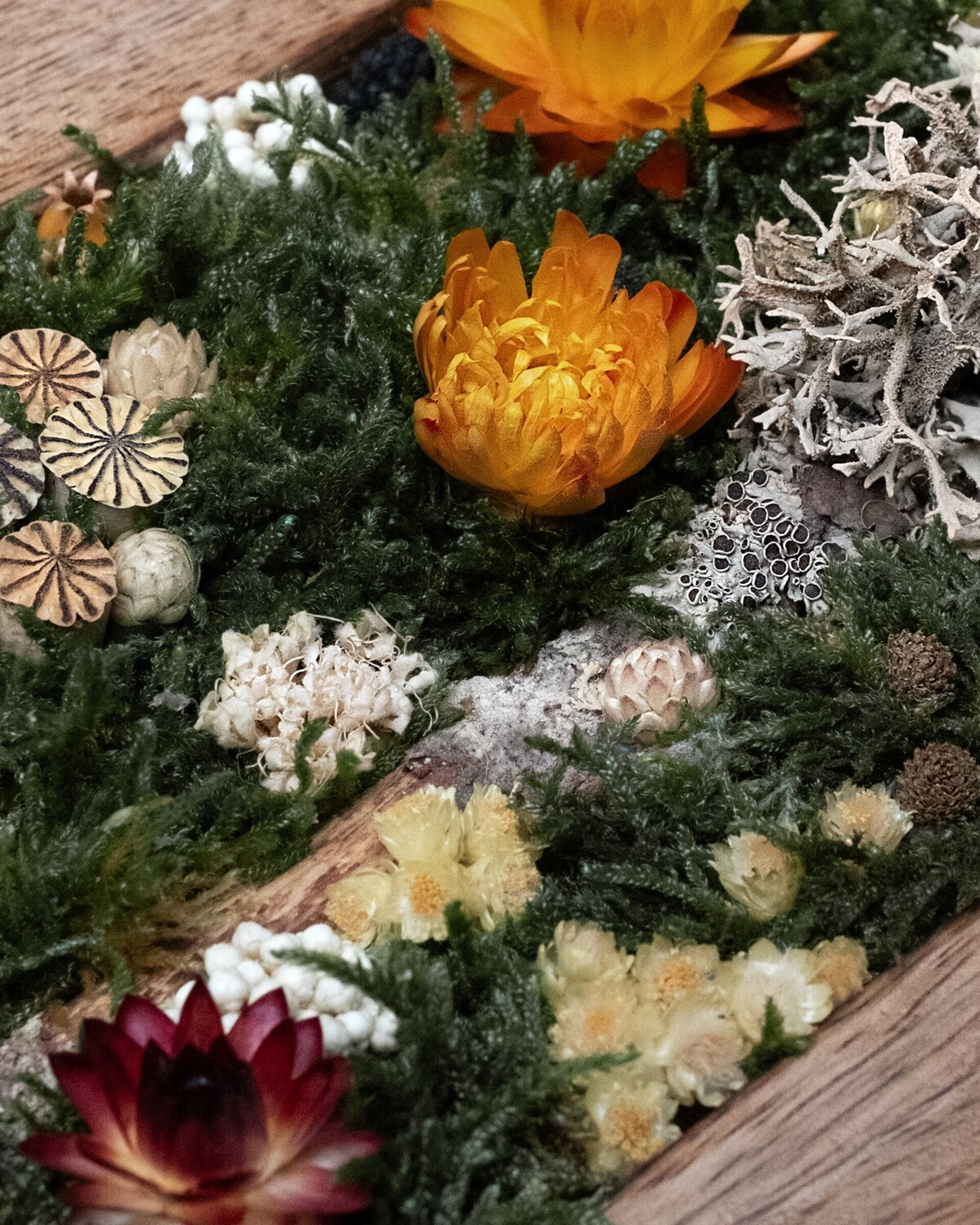 Cuadro floral artesanal “Helichrysum” (18x13 cm) - 2