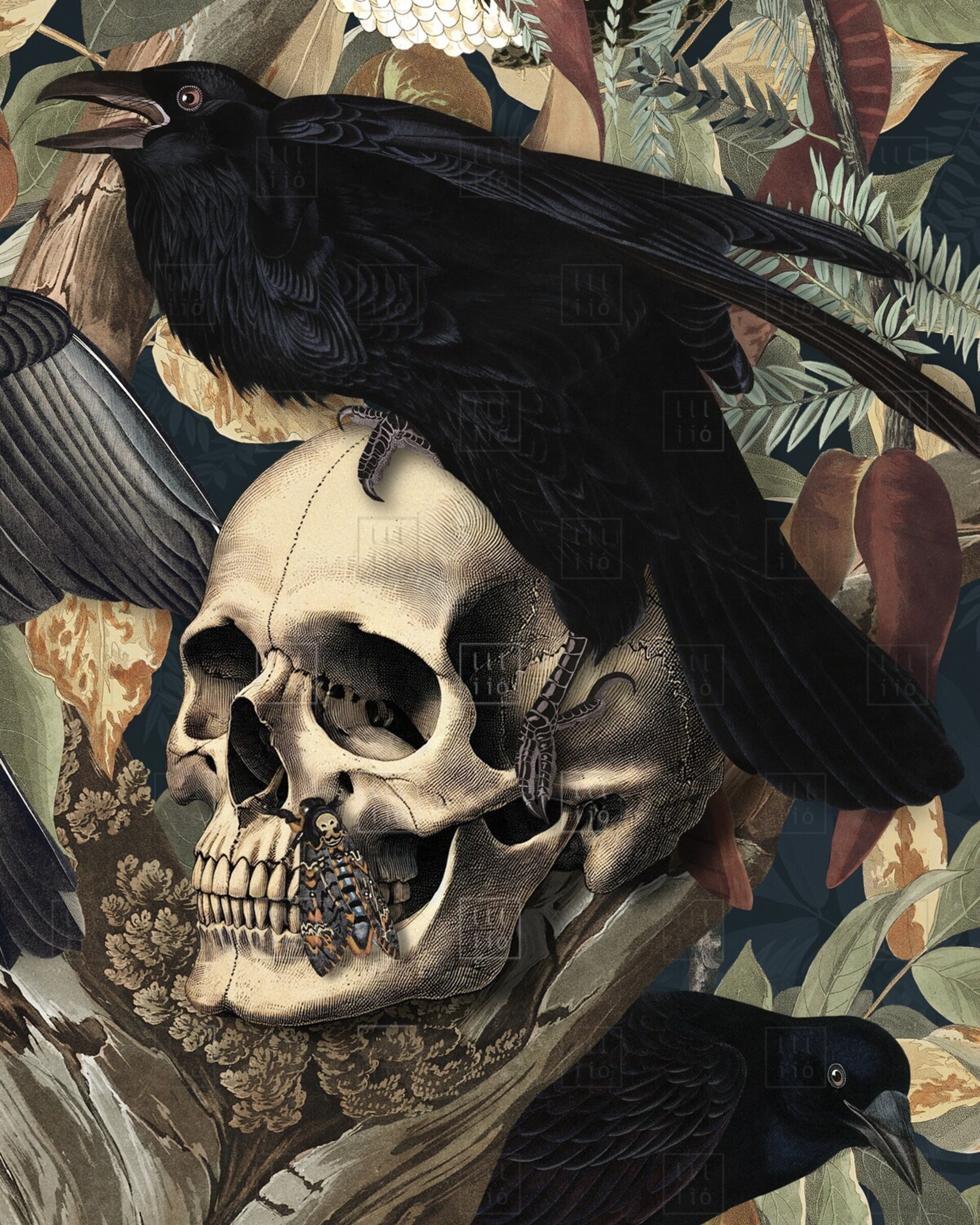 Lámina "The Corvids" 30x30 cm - 4