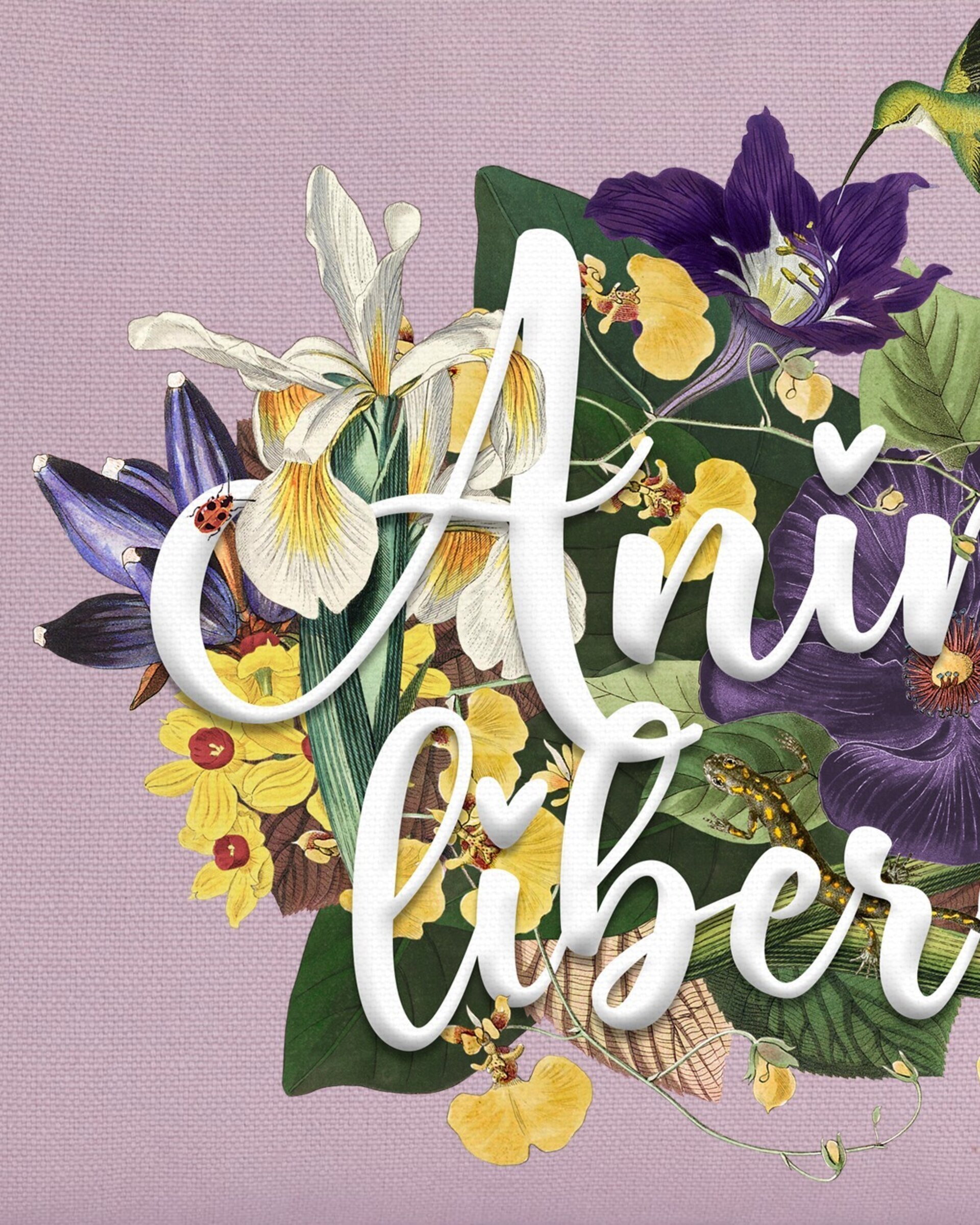 *Solidario: Neceser - 7