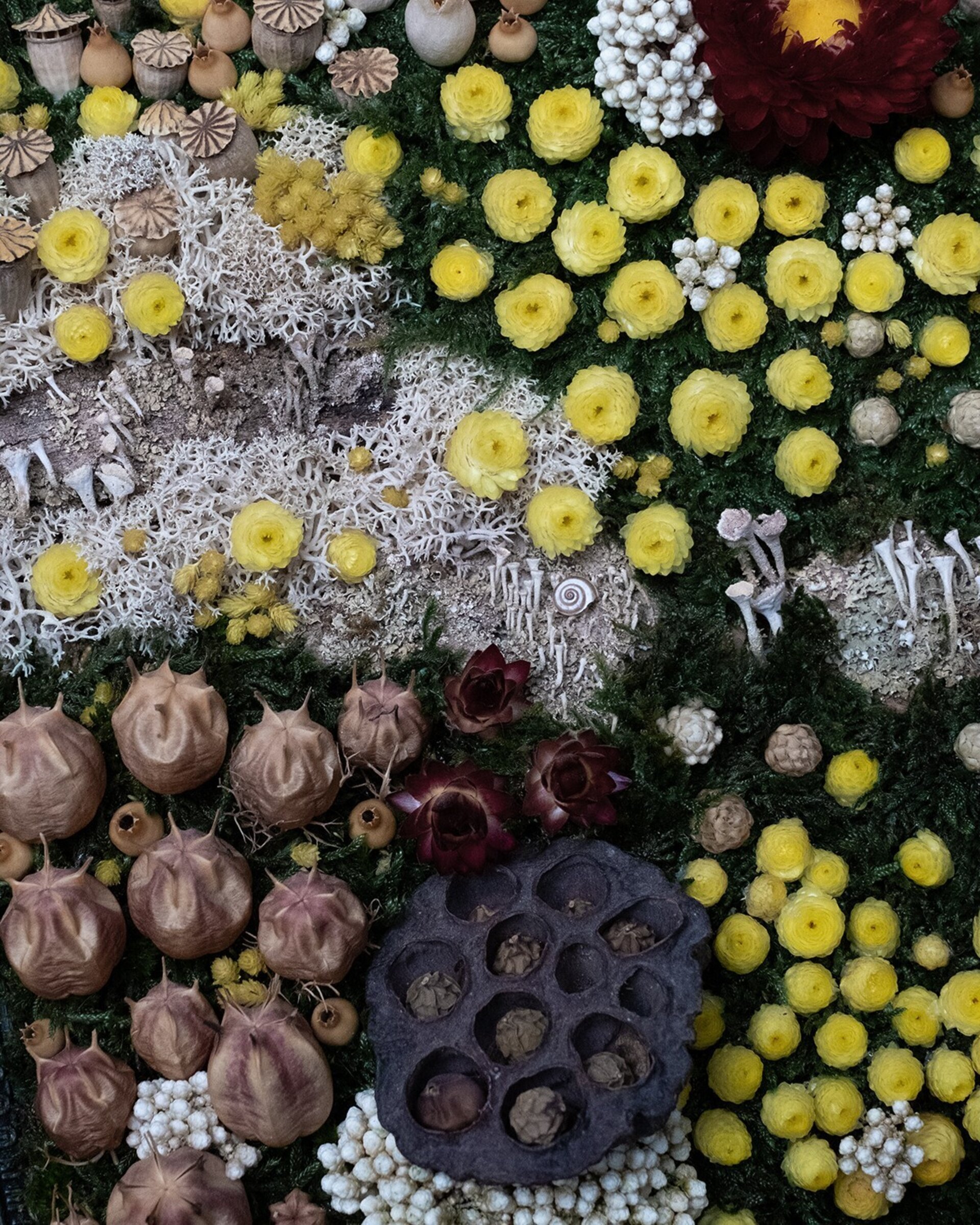 Cuadro floral artesanal “Helichrysum” (33x25 cm) - 2