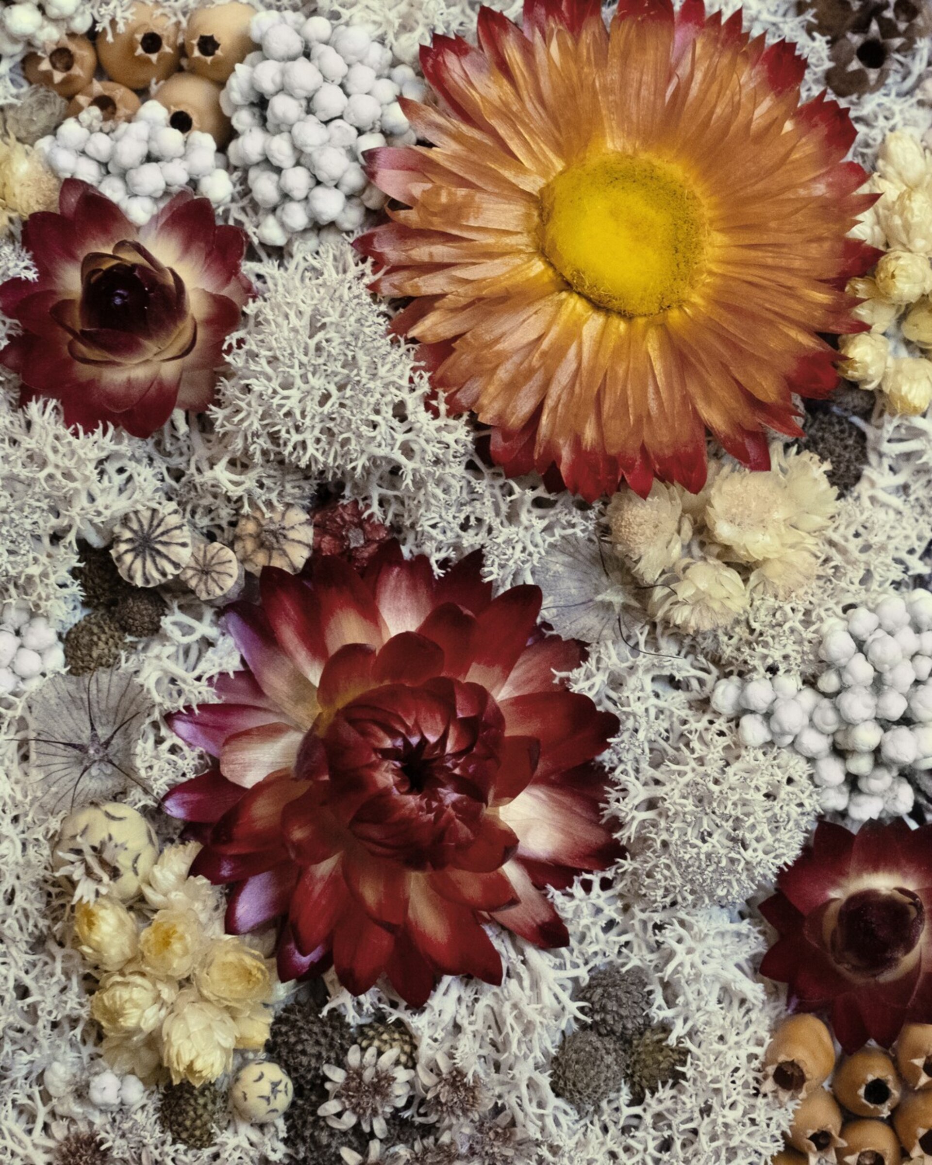 Cuadro floral artesanal “White” (21x16 cm) - 2