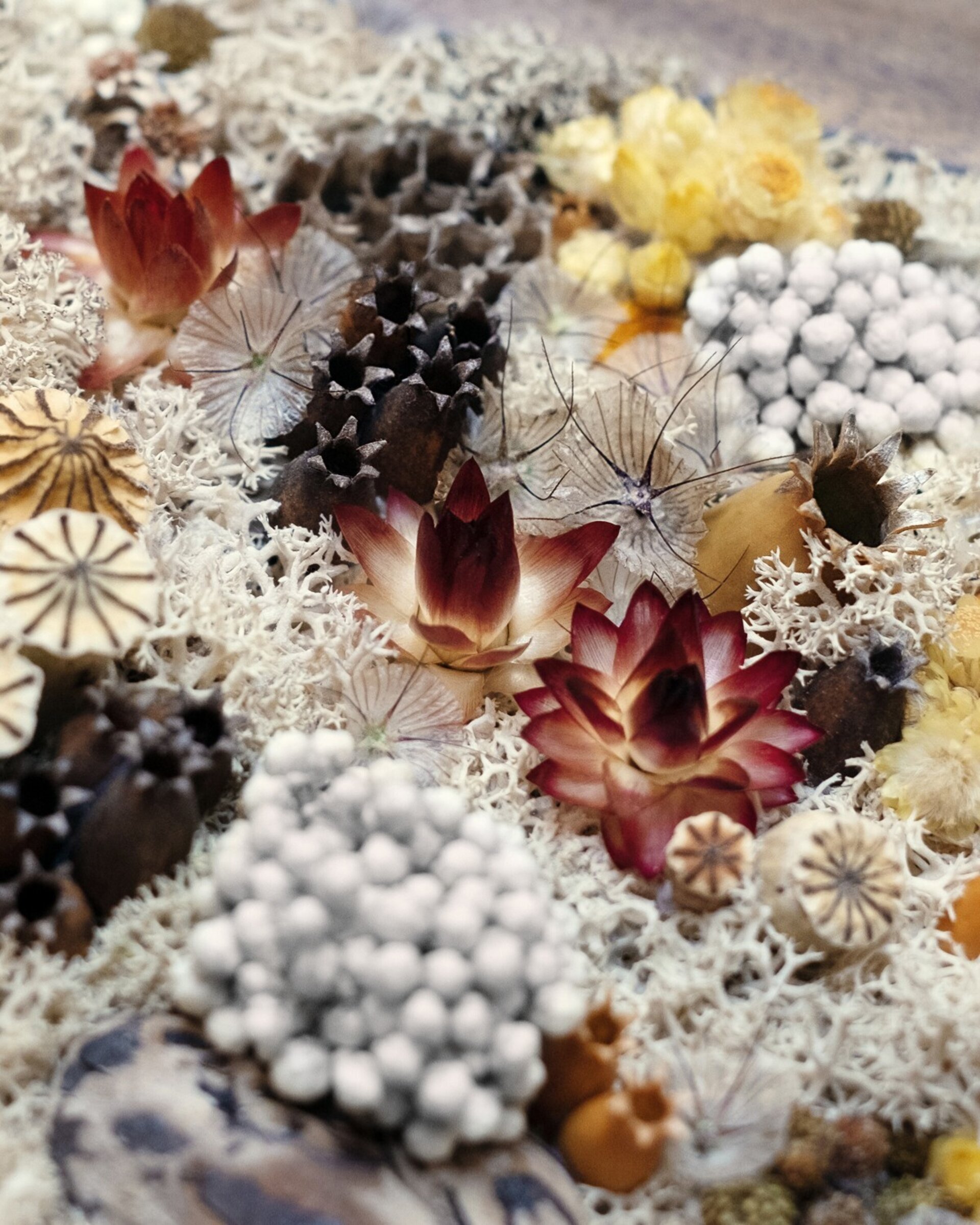 Cuadro floral artesanal “White” (21x16 cm) - 3