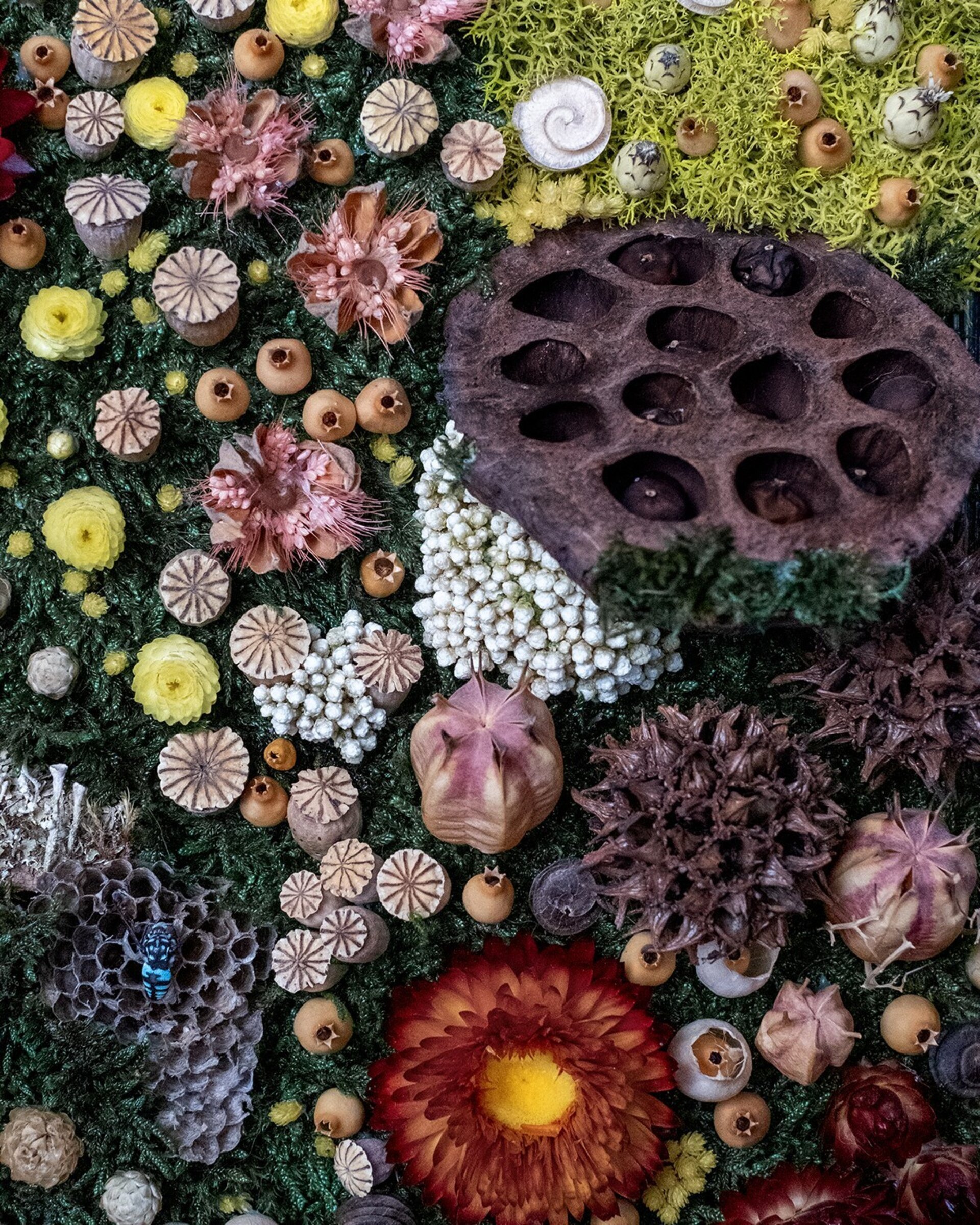 Cuadro floral artesanal “Helichrysum” (33x25 cm) - 3