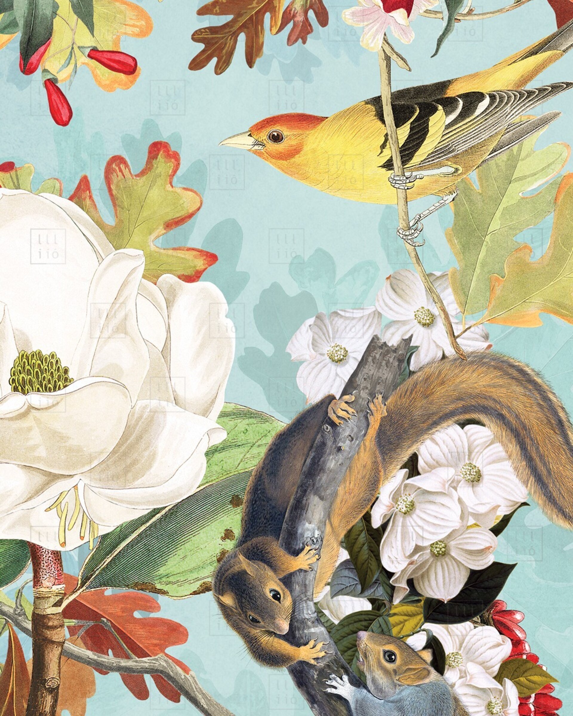 Lámina "The Squirrels and the Birds" 30x30 cm - 3