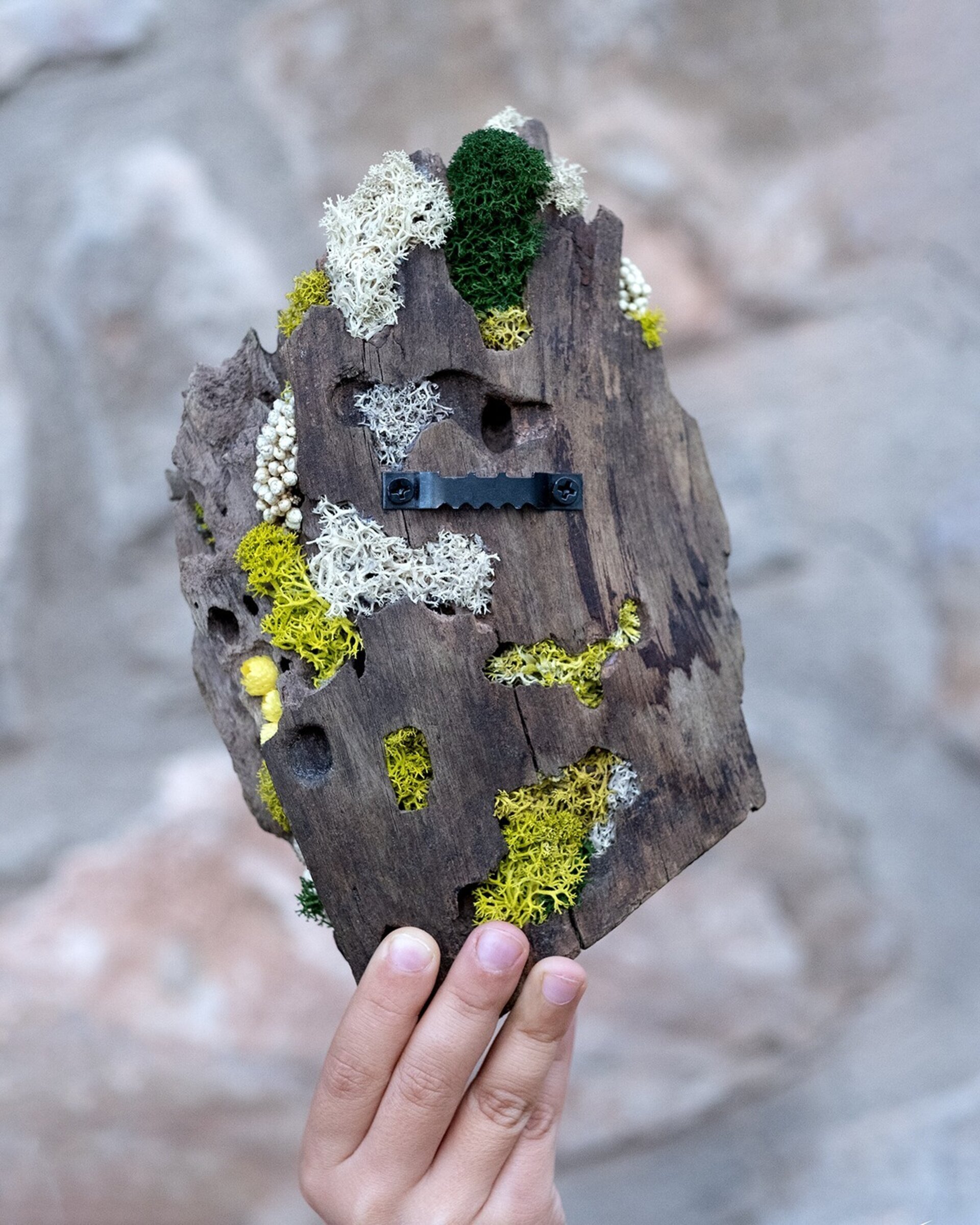 “Corteza erosionada” (22x13 cm) - 4