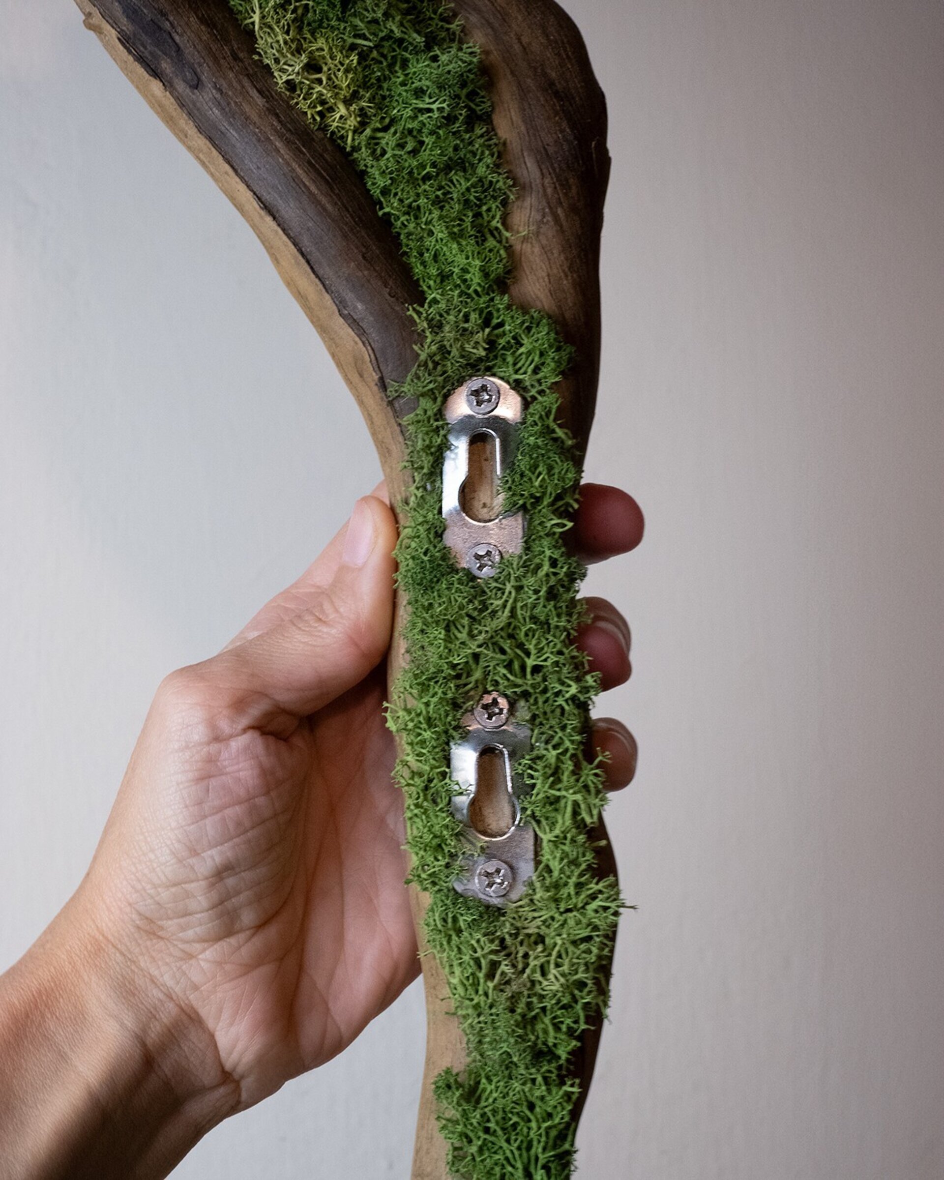 Arte botánico en madera “Rama” (22x45 cm) - 3