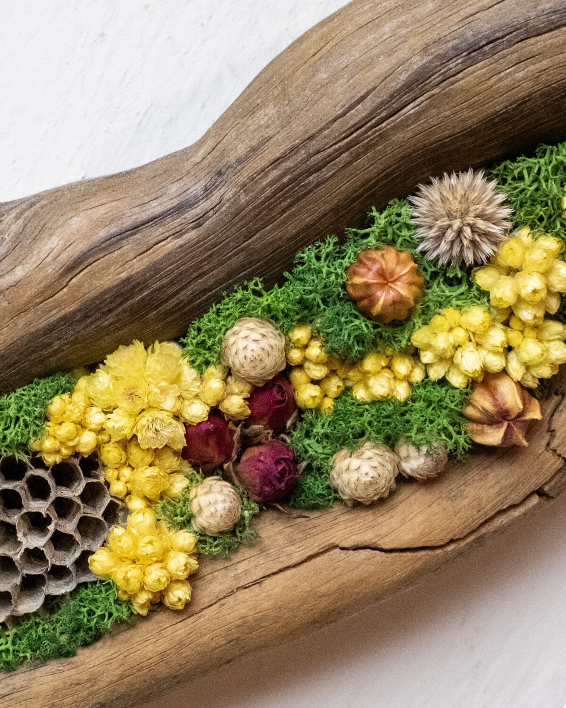 Arte botánico en madera “Rama” (22x45 cm) - 2