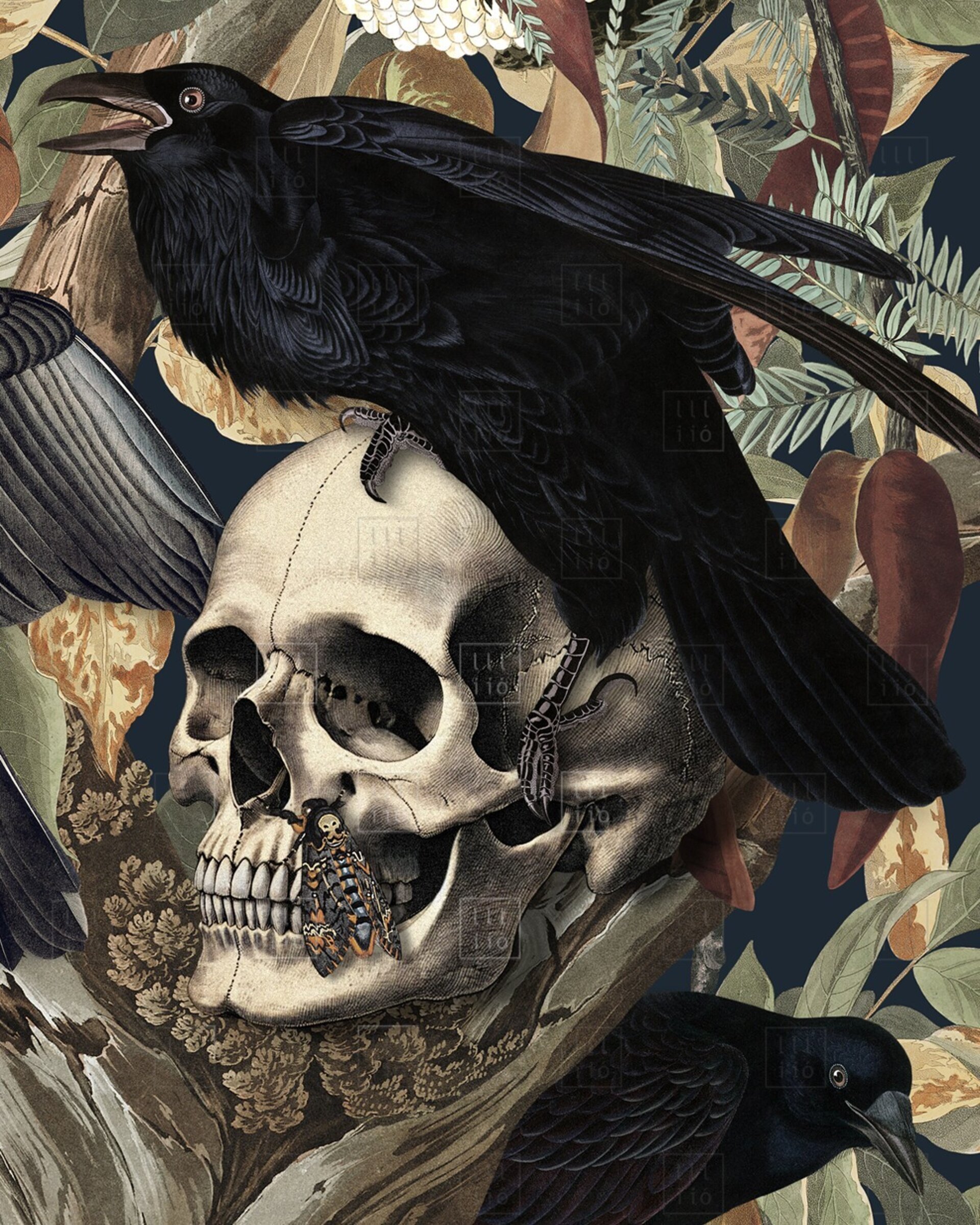 Lámina "The Corvids" 50x50cm - 4