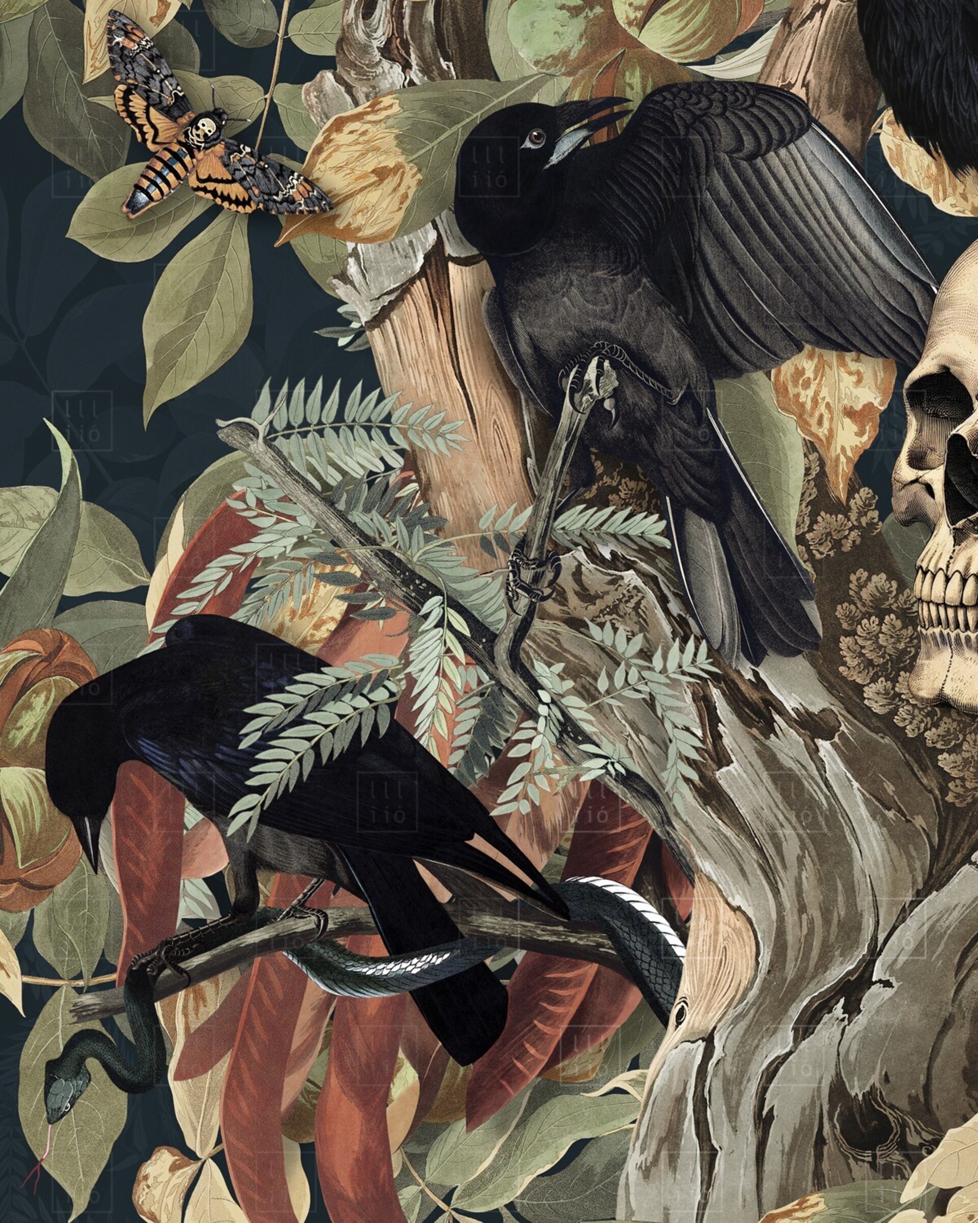 Lámina "The Corvids" 30x30 cm - 3