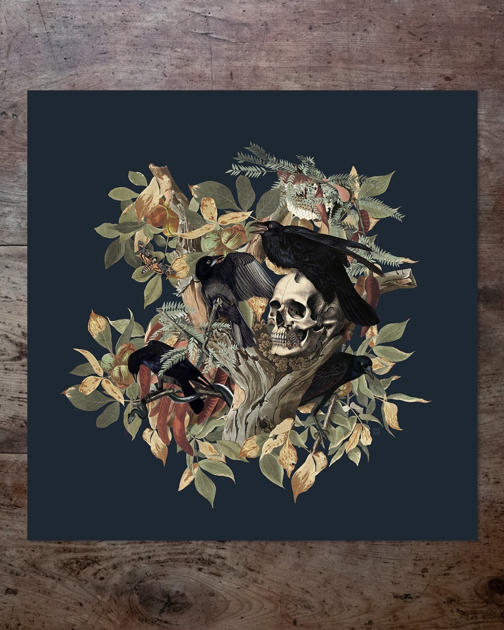 Lámina "The Corvids" 50x50cm - 2