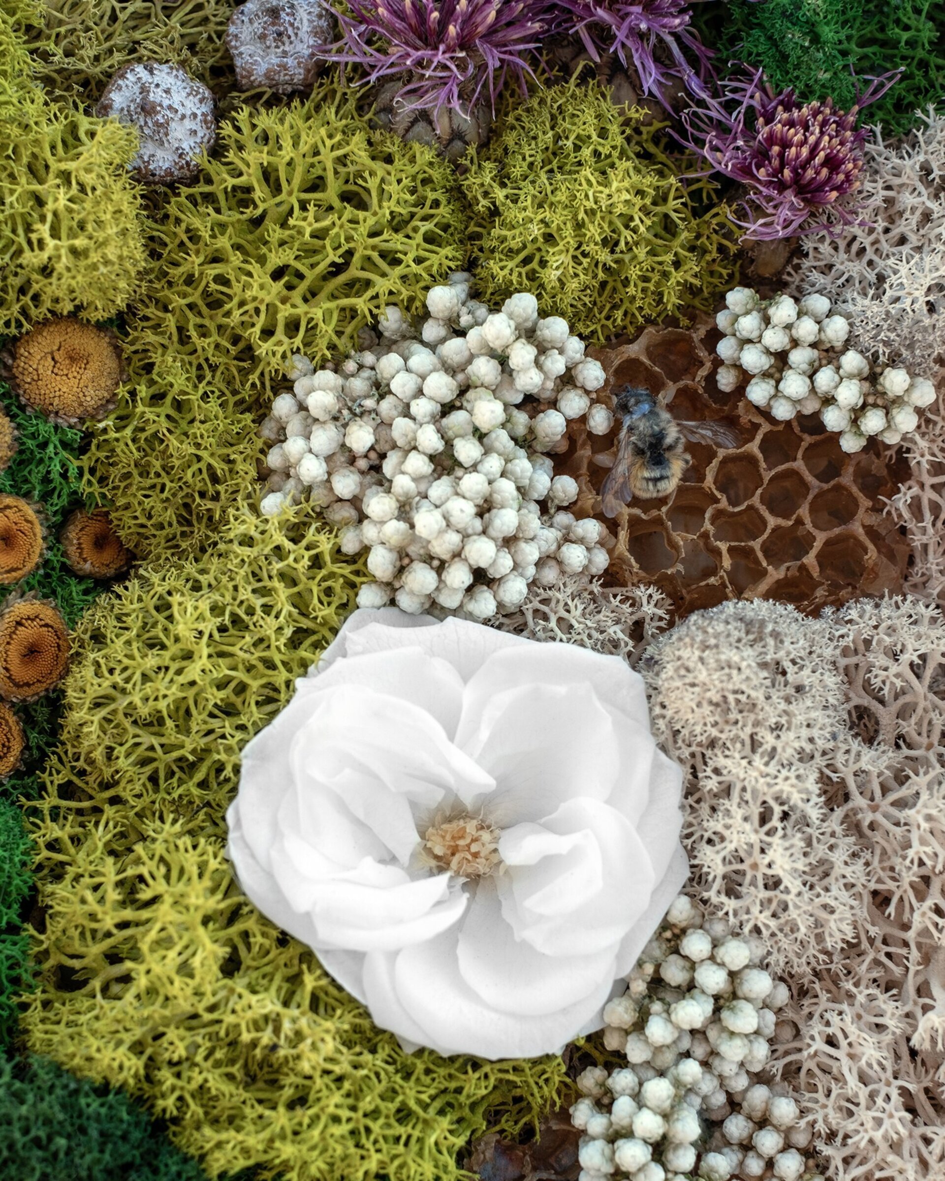 Cuadro floral artesanal “Apis” (23x28 cm) - 2