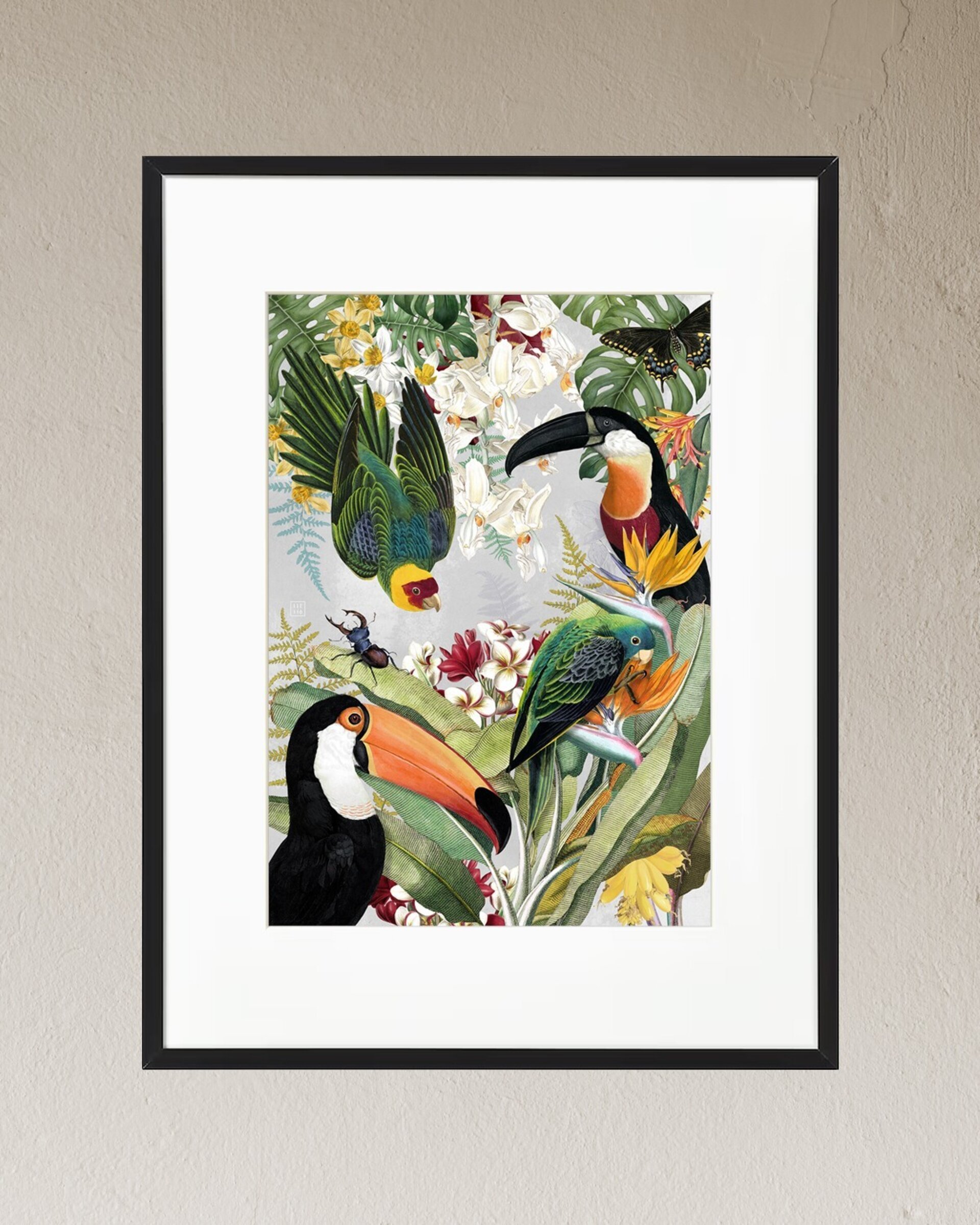 Lámina "The Parrots and the Toucans" 21x30 cm - 5