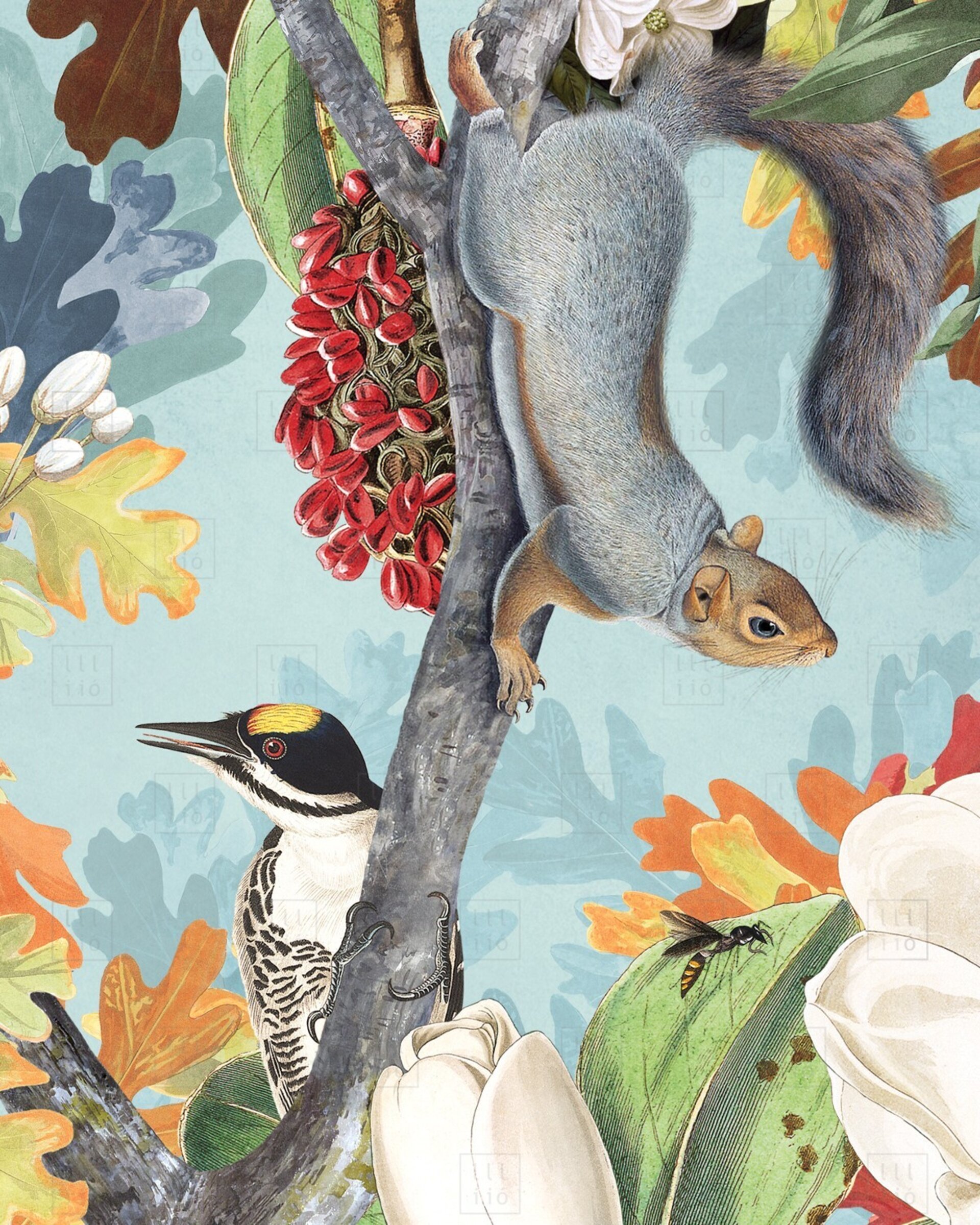 Lámina "The Squirrels and the Birds" 30x30 cm - 4