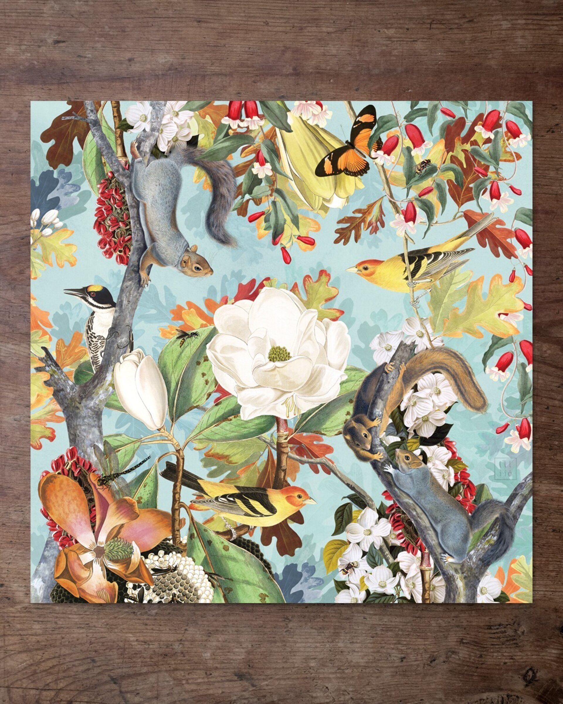 Lámina "The Squirrels and the Birds" 30x30 cm - 2