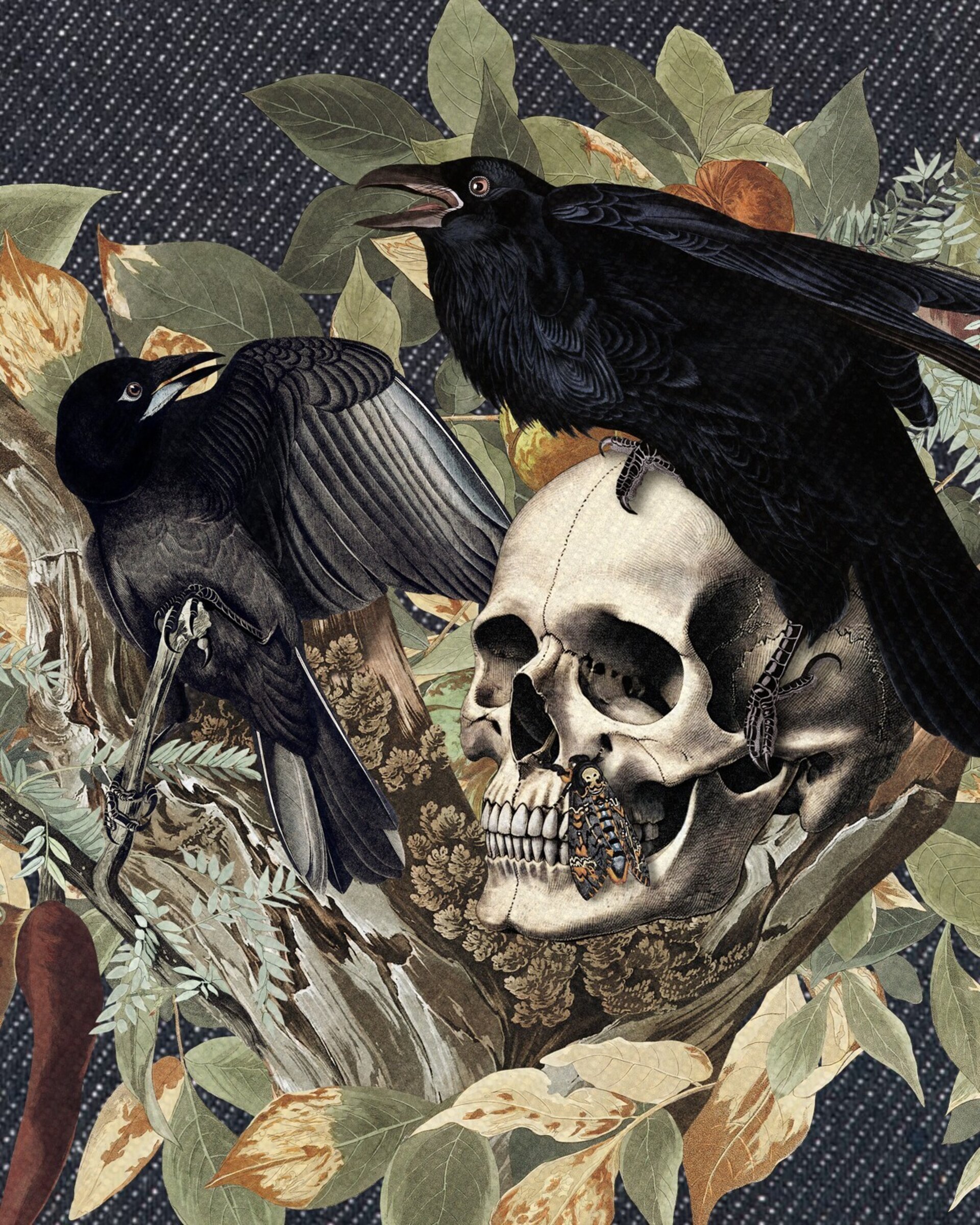 Estuche Denim The Corvids - 2