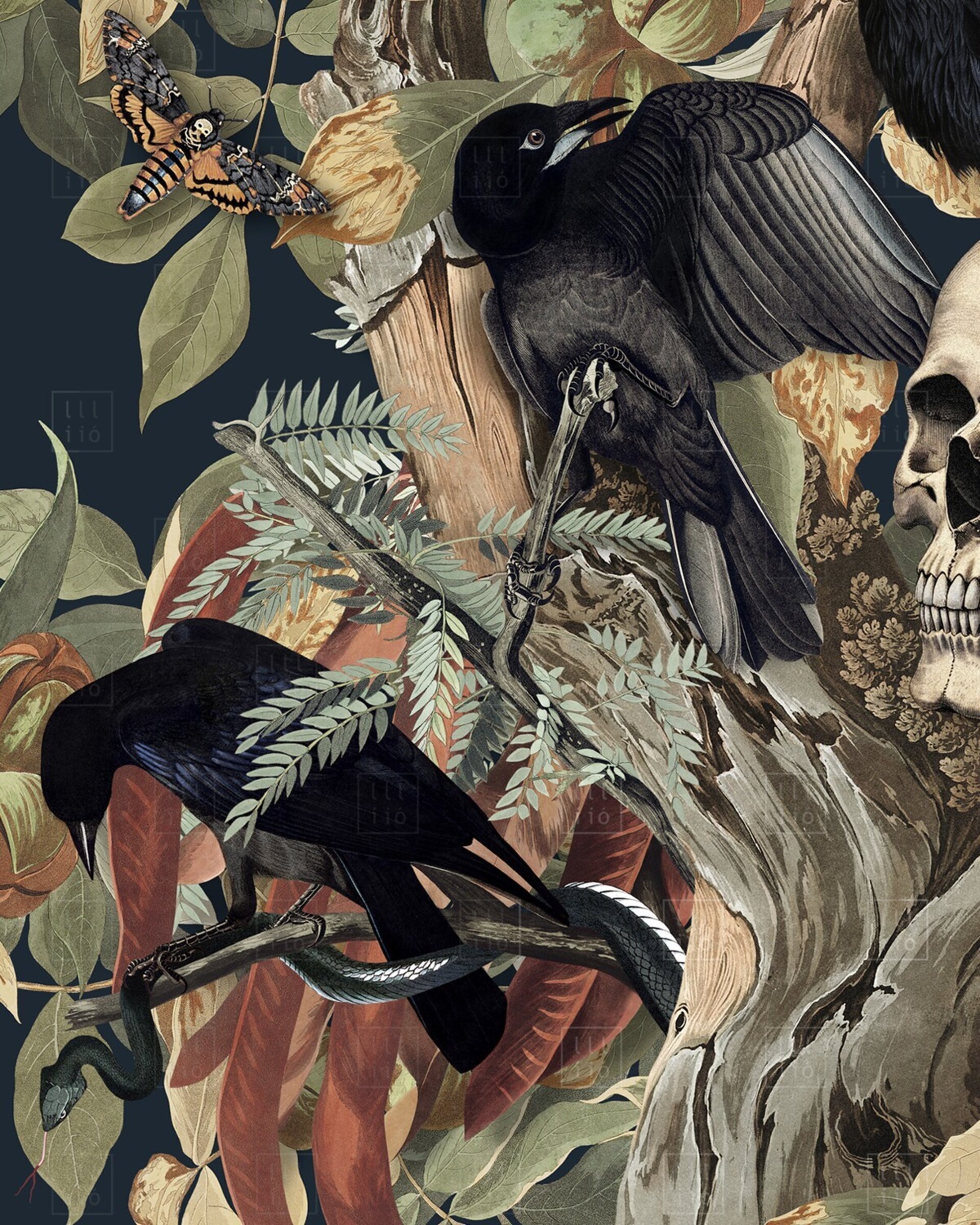 Lámina "The Corvids" 50x50cm - 3